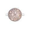 Stříbrný prsten Hot Diamonds Emozioni Bouquet Champagne