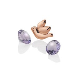 Přívěsek Hot Diamonds Holubice Anais EX103