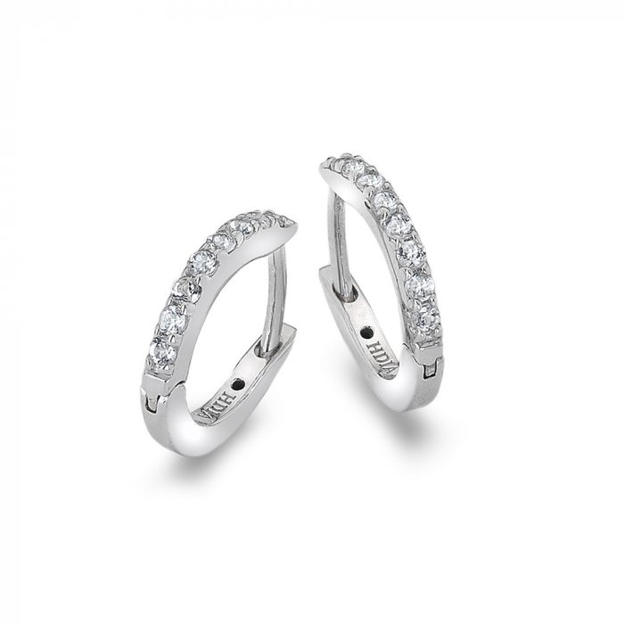 Stříbrné náušnice Hot Diamonds Flora DE581