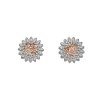 Stříbrné náušnice Hot Diamonds Emozioni Spirzzare EE032