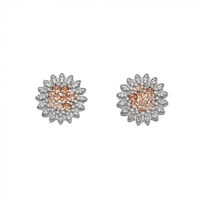 Stříbrné náušnice Hot Diamonds Emozioni Spirzzare EE032