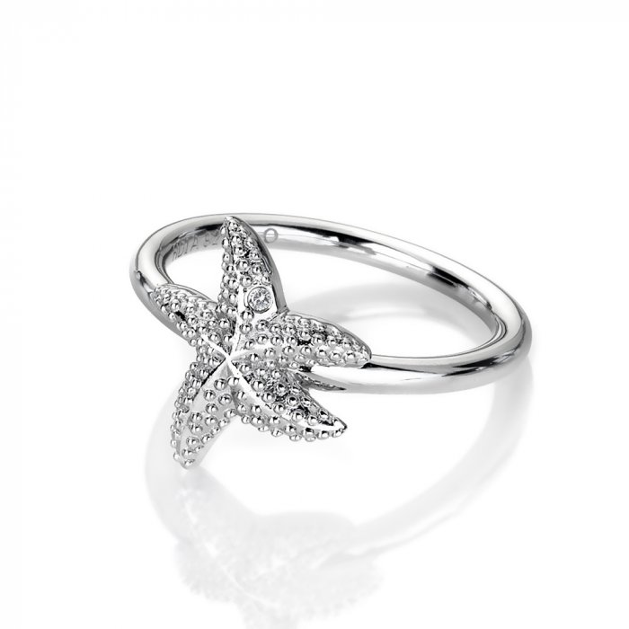 Stříbrný prsten Hot Diamonds Daisy DR213