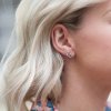Stříbrné náušnice HOT DIAMONDS Paradise DE248