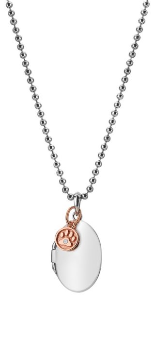 Stříbrný přívěsek Hot Diamonds Memories DP879