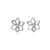 Stříbrné náušnice Hot Diamonds Diamond Amulets DE711