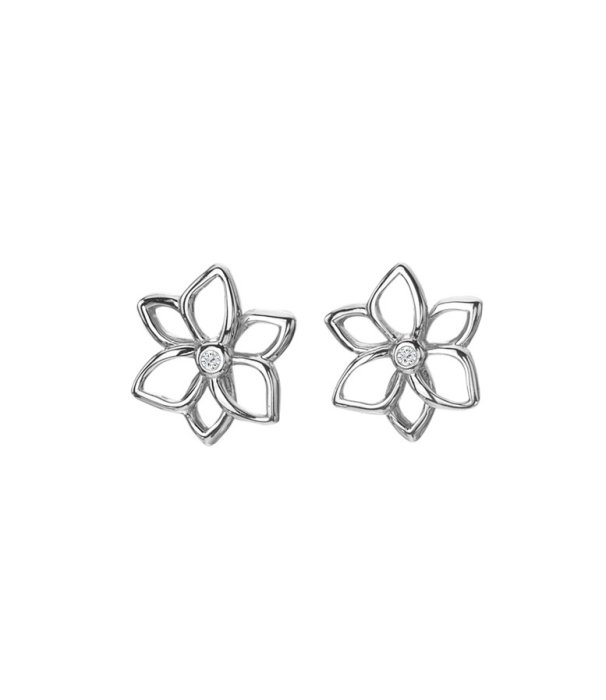 Stříbrné náušnice Hot Diamonds Diamond Amulets DE711